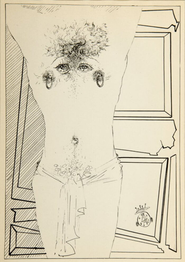 Graphic lithograph Salvador Dali The Limp-Paged Album