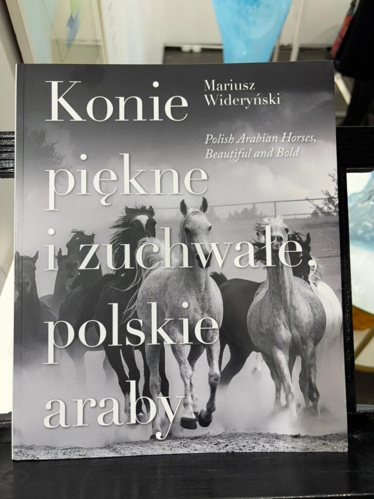 Konie piękne i zuchwałe, polskie araby